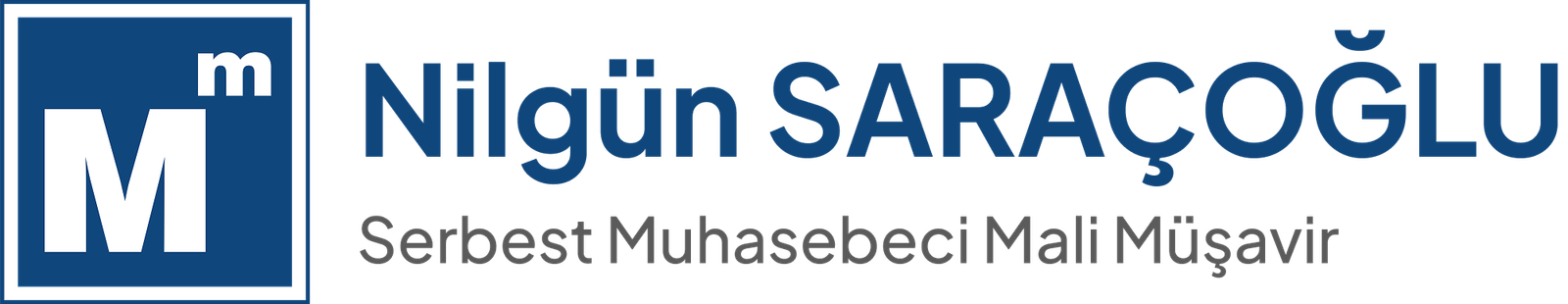 Nilgün Saraçoğlu Mali Müşavir Logo